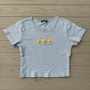 Brandy Melville Striped Floral Embroidered Crop Top